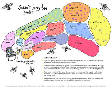 Susan Brackney's Honeybee Garden