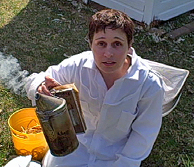 Bee Smoker Video