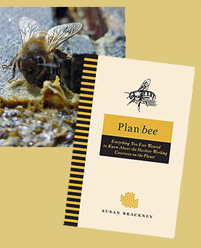 Plan Bee Book Cover